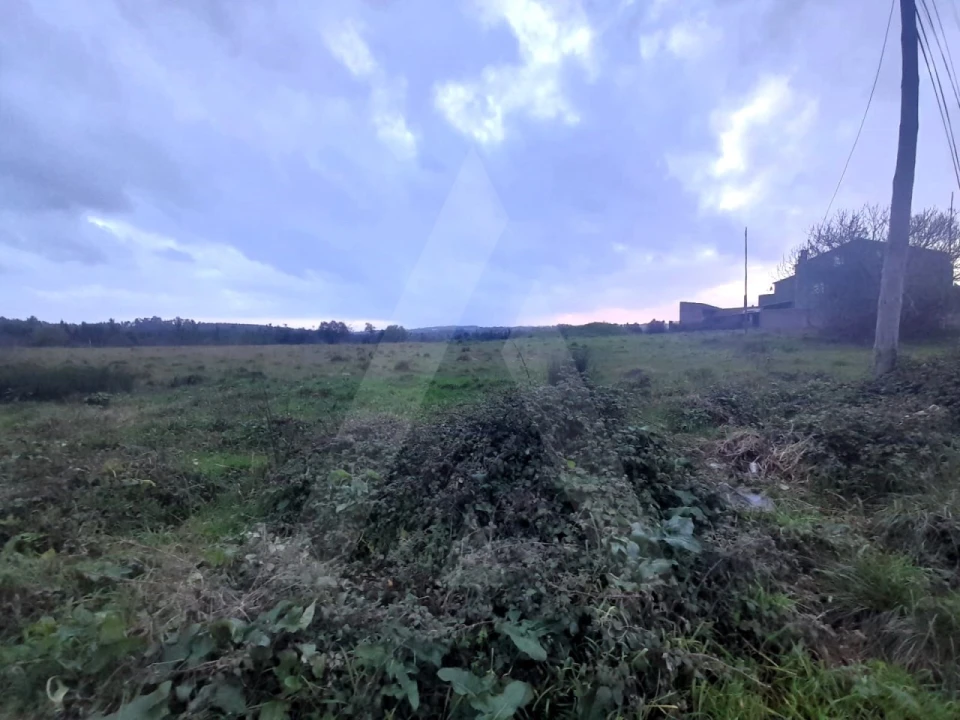 Terreno para Venda em Mealhada, Ventosa do Bairro e Antes Foto 7