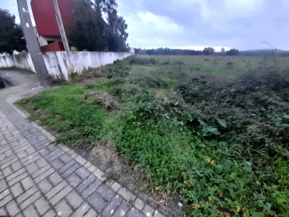 Terreno para Venda em Mealhada, Ventosa do Bairro e Antes Foto 9