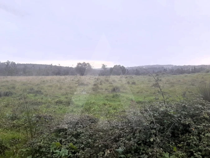 Terreno para Venda em Mealhada, Ventosa do Bairro e Antes