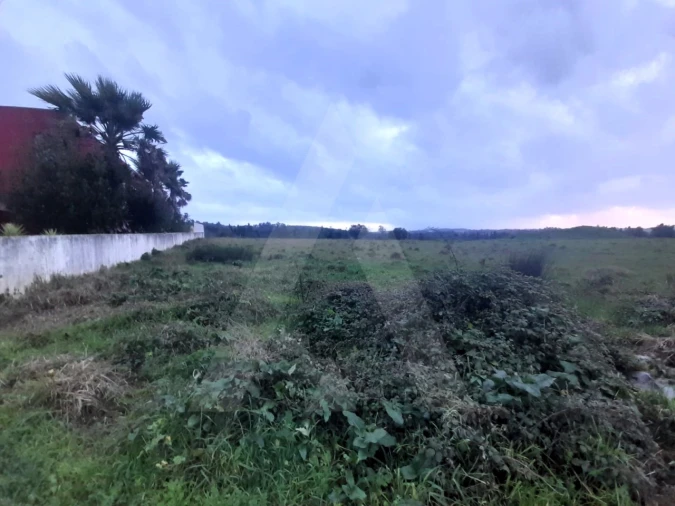 Terreno para Venda em Mealhada, Ventosa do Bairro e Antes Foto 2