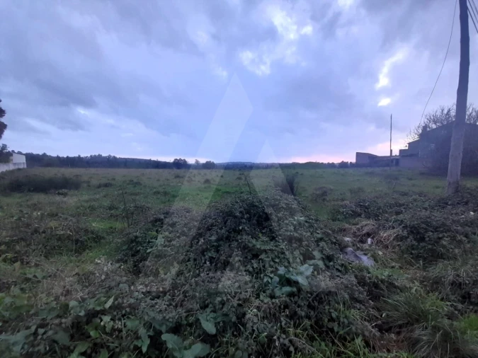 Terreno para Venda em Mealhada, Ventosa do Bairro e Antes Foto 6