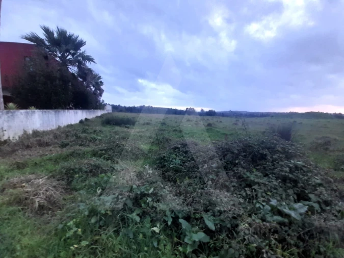 Terreno para Venda em Mealhada, Ventosa do Bairro e Antes Foto 8