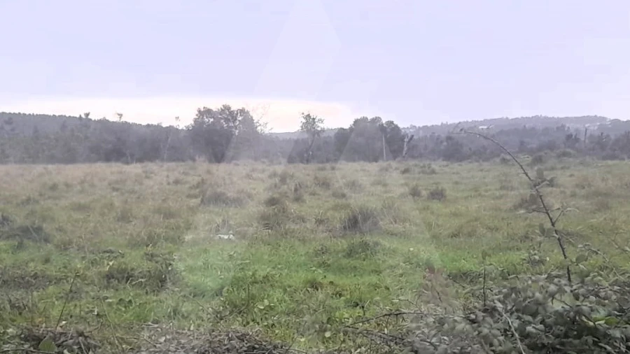 Terreno para Venda em Mealhada, Ventosa do Bairro e Antes