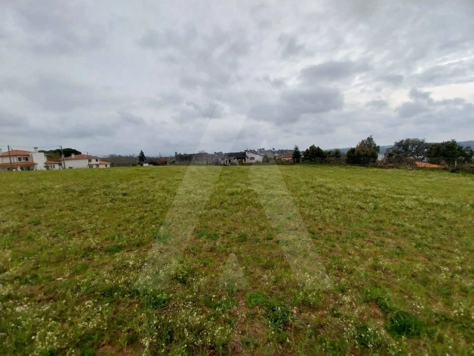 Terreno para Venda em Macinhata do Vouga Foto 6