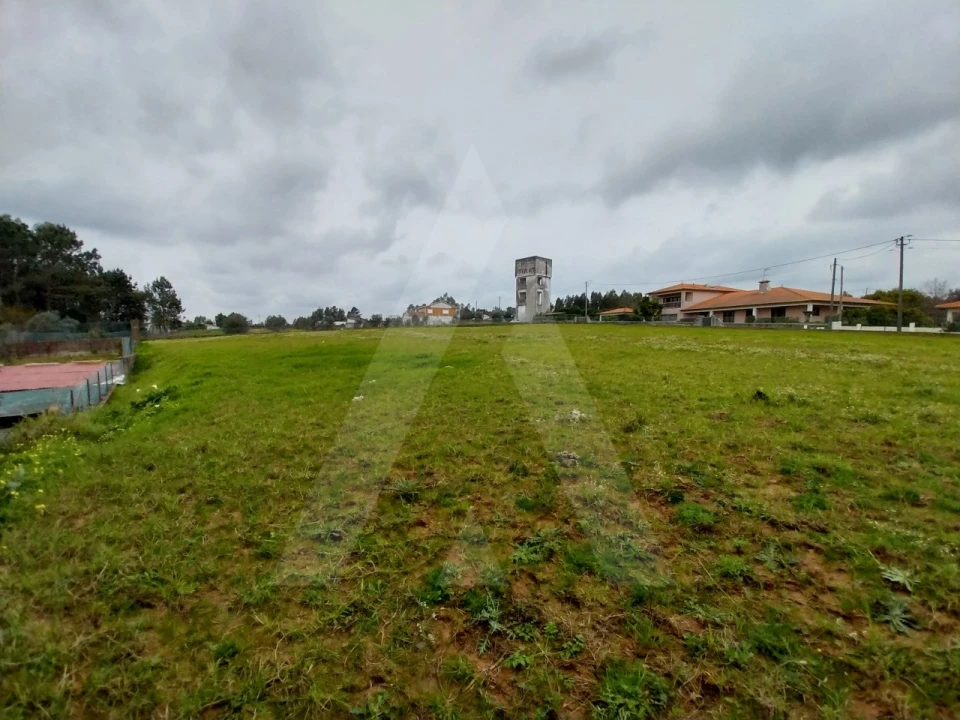 Terreno para Venda em Macinhata do Vouga Foto 7