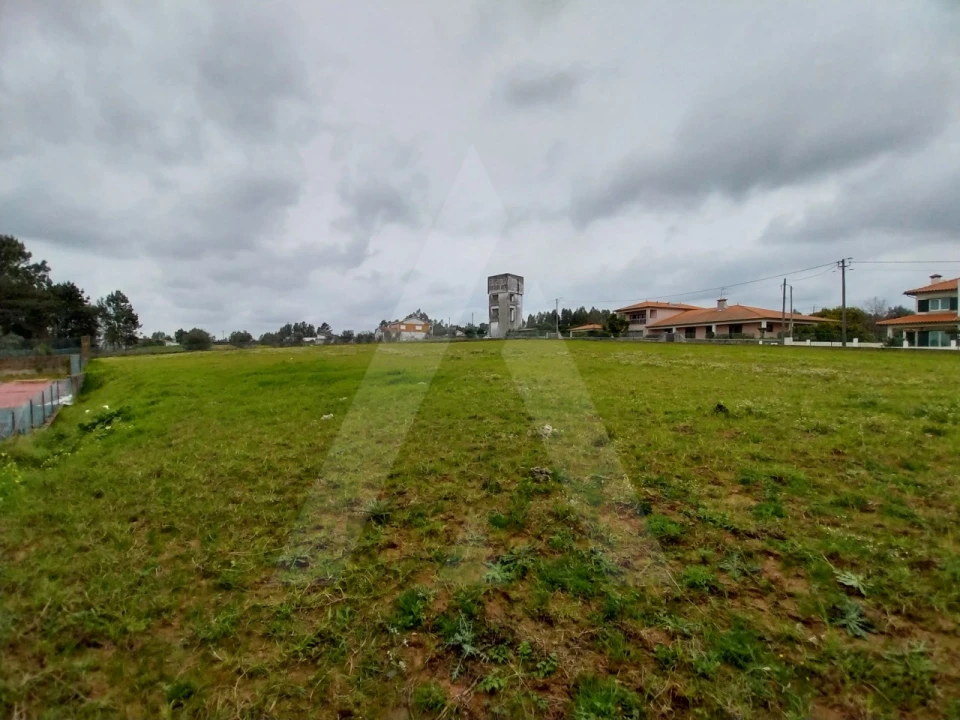 Terreno para Venda em Macinhata do Vouga Foto 9