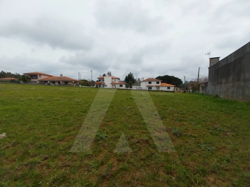 Terreno para Venda em Macinhata do Vouga Foto 10