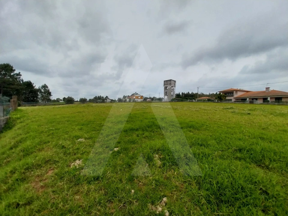 Terreno para Venda em Macinhata do Vouga Foto 11