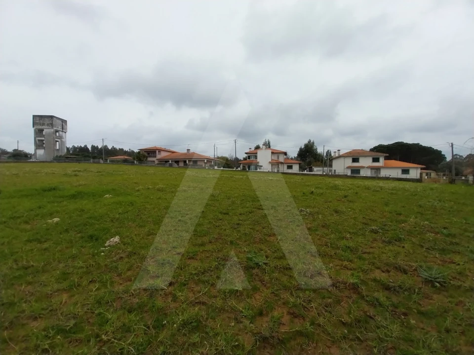 Terreno para Venda em Macinhata do Vouga Foto 12