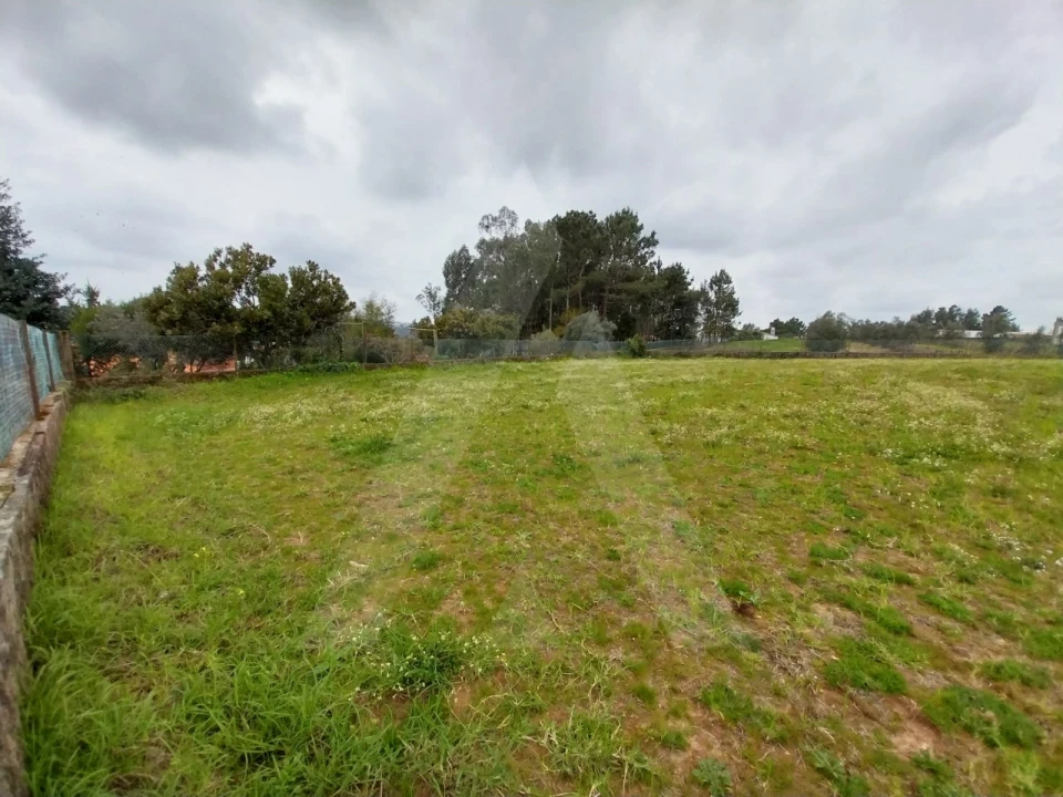 Terreno para Venda em Macinhata do Vouga Foto 13