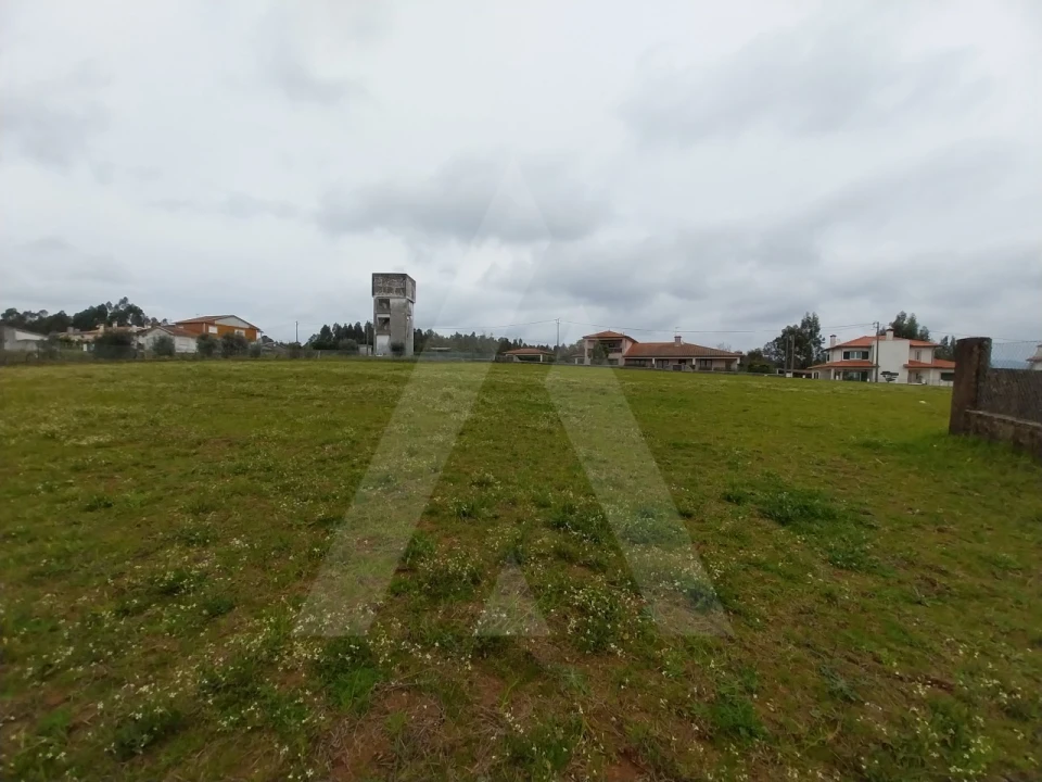 Terreno para Venda em Macinhata do Vouga Foto 15
