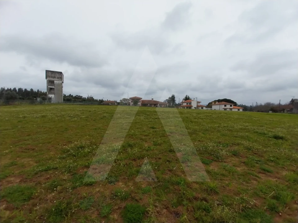 Terreno para Venda em Macinhata do Vouga Foto 16