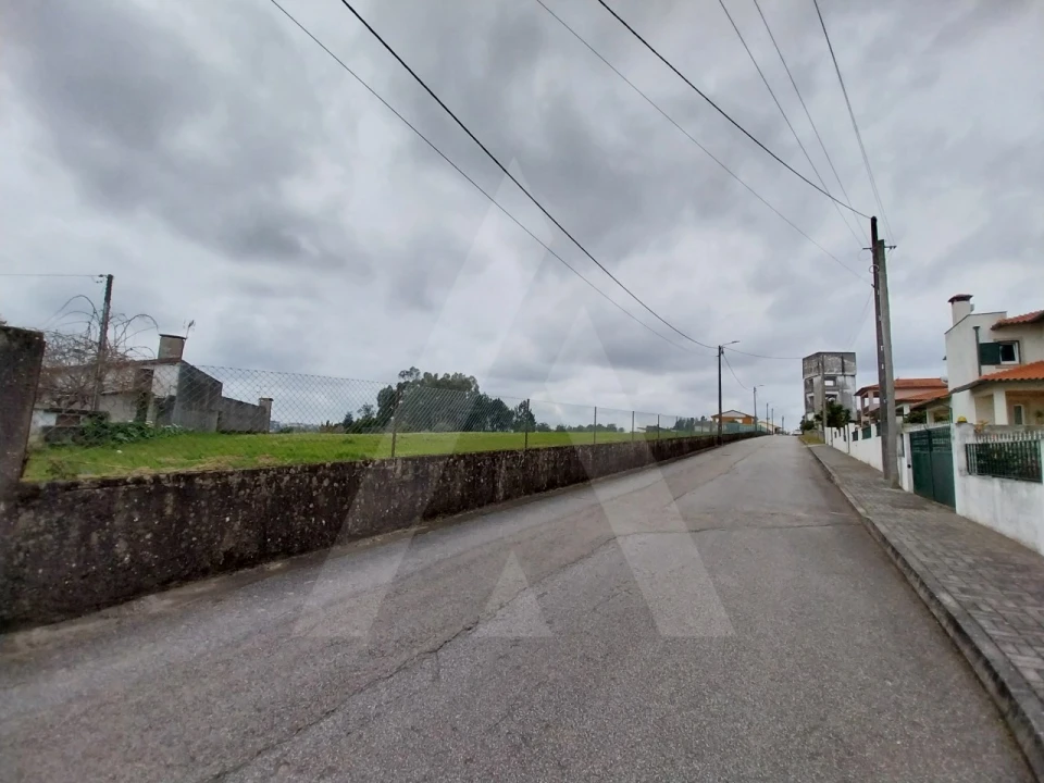 Terreno para Venda em Macinhata do Vouga Foto 21