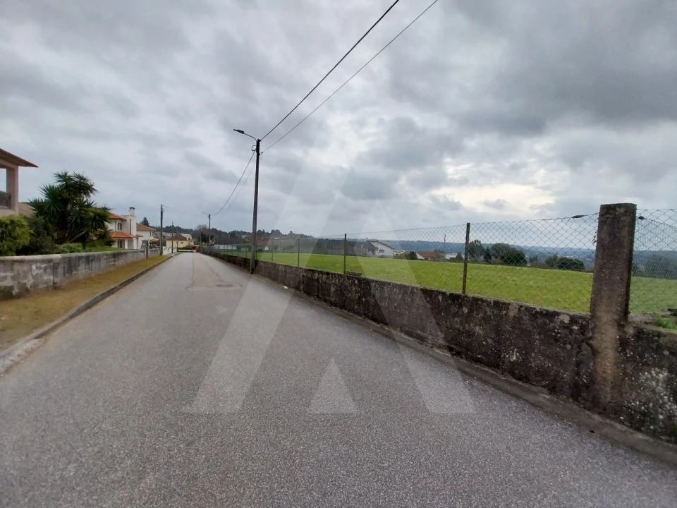 Terreno para Venda em Macinhata do Vouga Foto 23