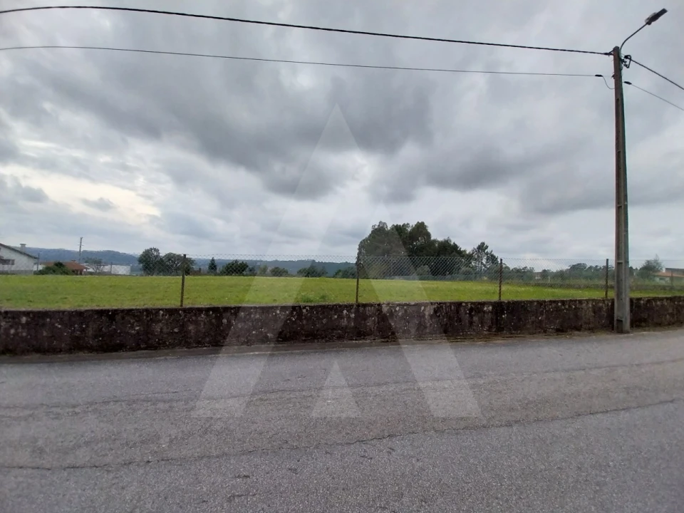 Terreno para Venda em Macinhata do Vouga Foto 26