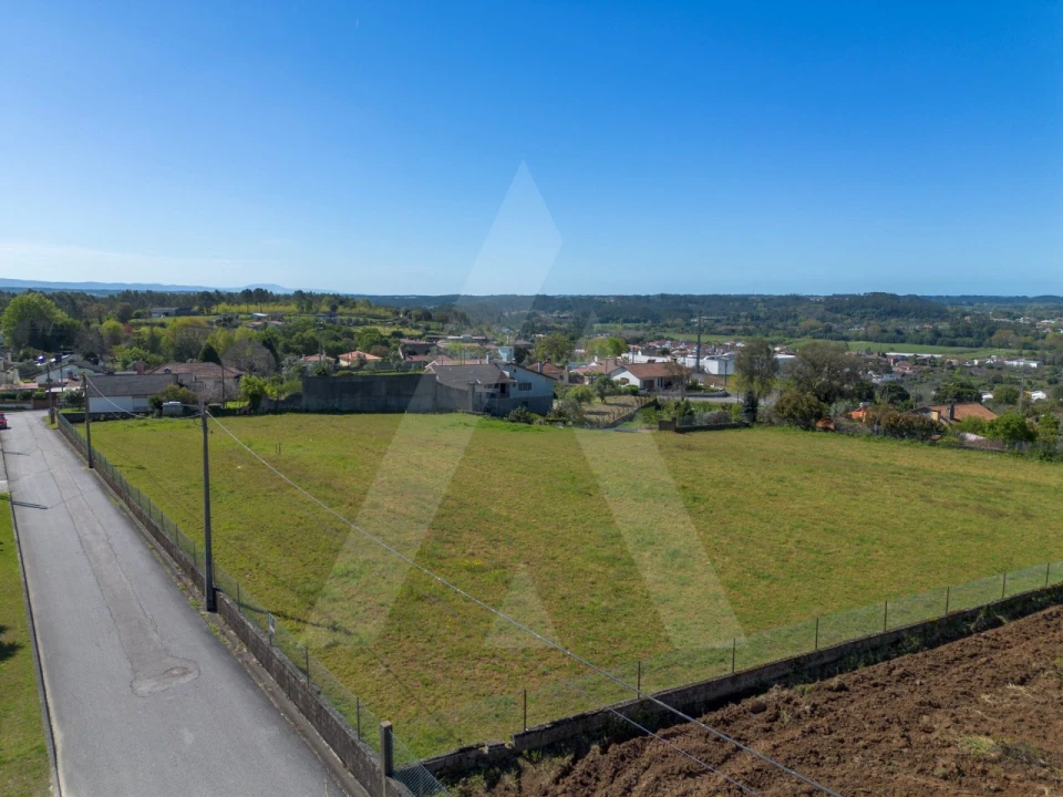 Terreno para Venda em Macinhata do Vouga Foto 5