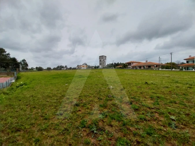 Terreno para Venda em Macinhata do Vouga Foto 9