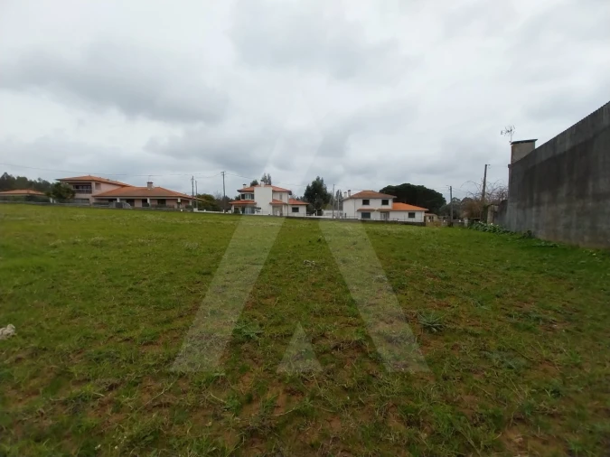Terreno para Venda em Macinhata do Vouga Foto 10