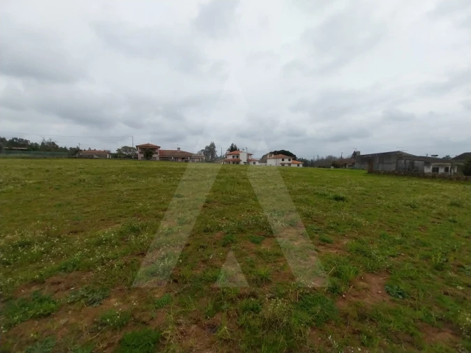 Terreno para Venda em Macinhata do Vouga Foto 14
