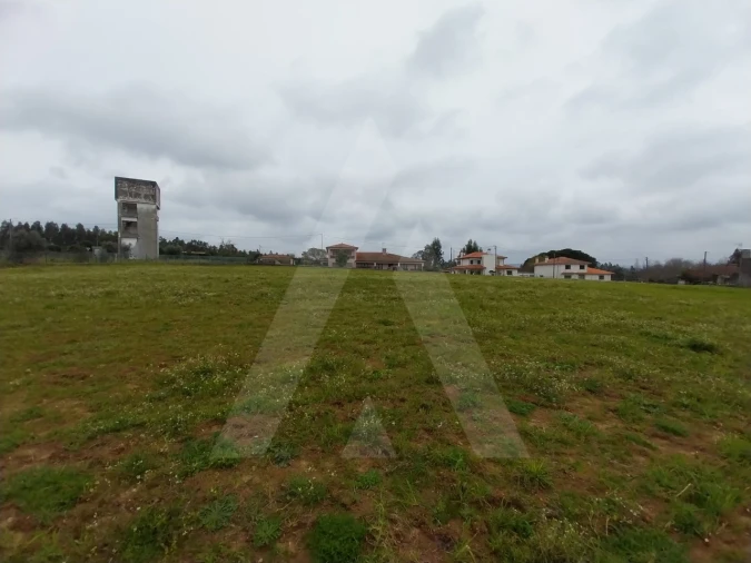 Terreno para Venda em Macinhata do Vouga Foto 16