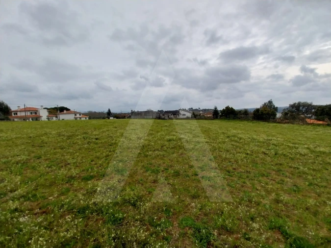 Terreno para Venda em Macinhata do Vouga Foto 17