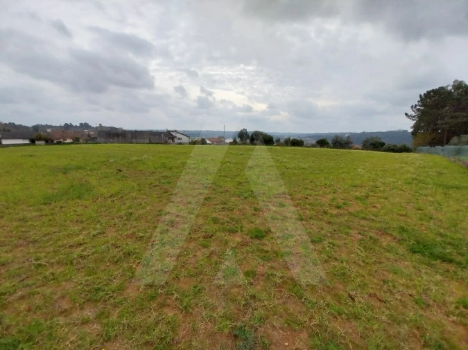 Terreno para Venda em Macinhata do Vouga Foto 18