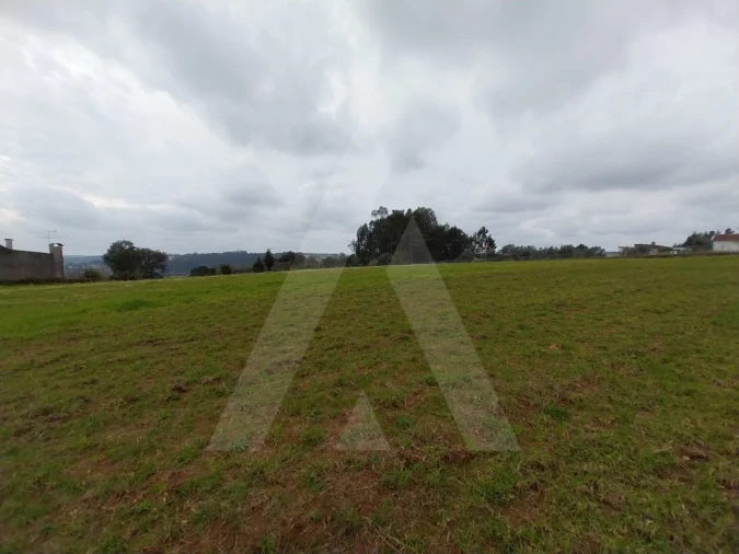 Terreno para Venda em Macinhata do Vouga Foto 19