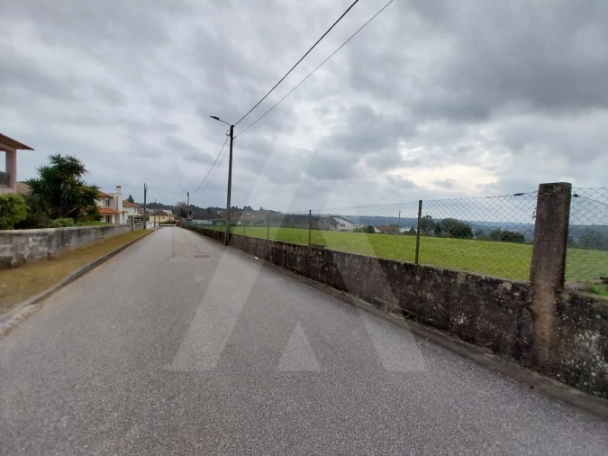 Terreno para Venda em Macinhata do Vouga Foto 23
