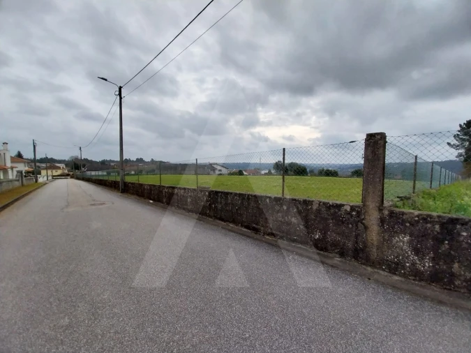 Terreno para Venda em Macinhata do Vouga Foto 24