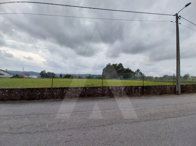 Terreno para Venda em Macinhata do Vouga Foto 26