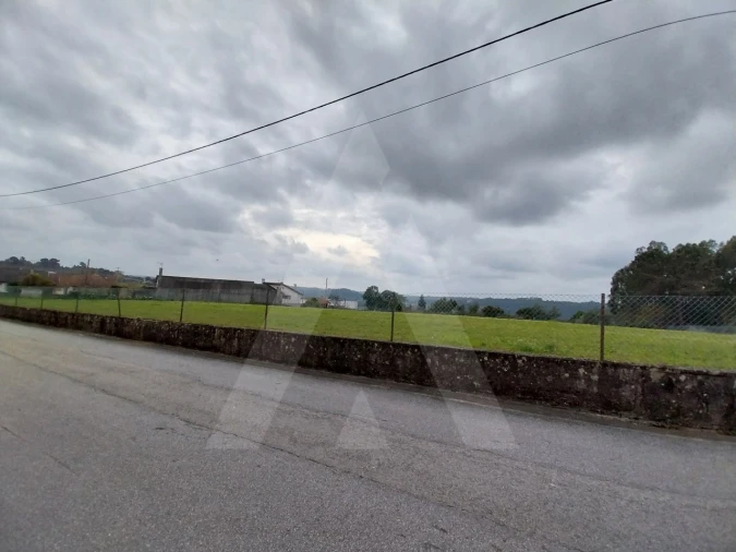 Terreno para Venda em Macinhata do Vouga Foto 27
