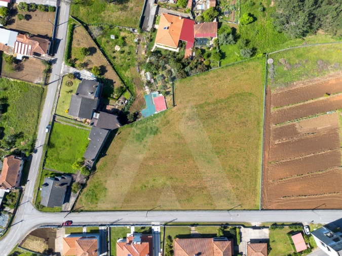 Terreno para Venda em Macinhata do Vouga Foto 3