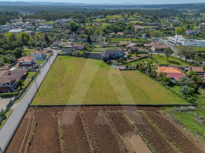 Terreno para Venda em Macinhata do Vouga Foto 1