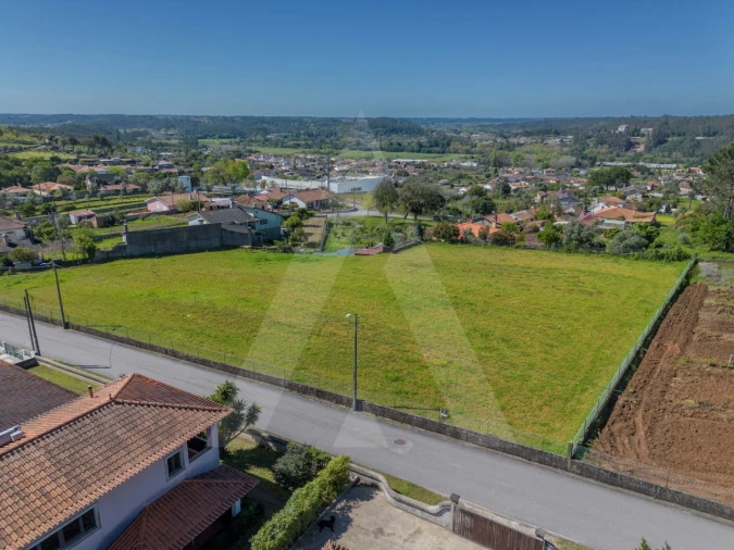 Terreno para Venda em Macinhata do Vouga Foto 28