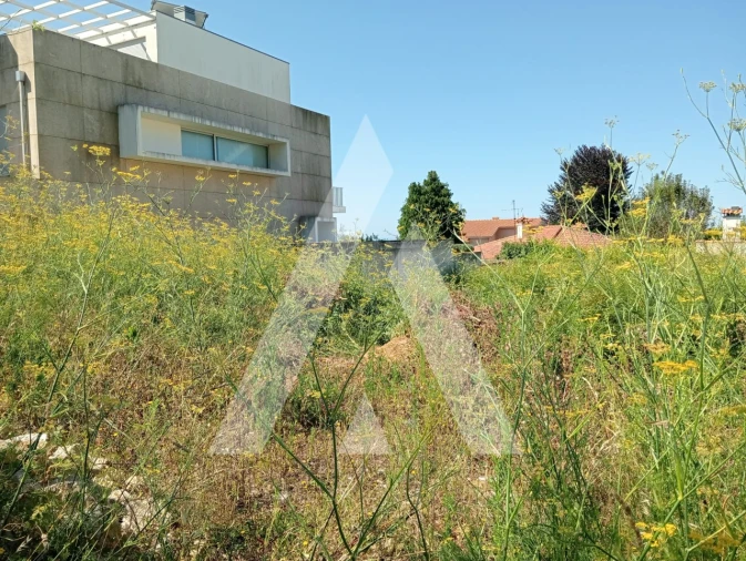 Terreno para Venda em Areosa Foto 3