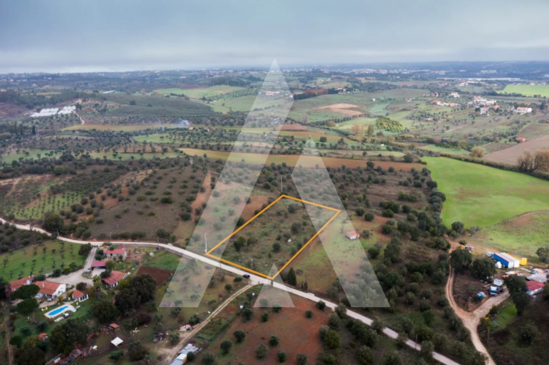Terreno para Venda em Brogueira, Parceiros de Igreja e Alcorochel Foto 3