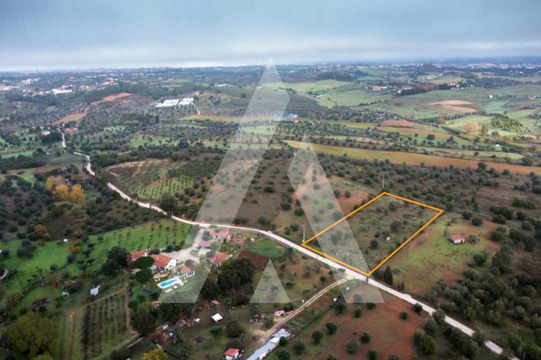 Terreno para Venda em Brogueira, Parceiros de Igreja e Alcorochel Foto 4