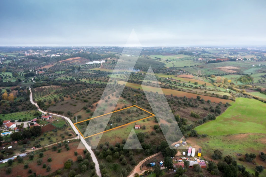 Terreno para Venda em Brogueira, Parceiros de Igreja e Alcorochel Foto 5
