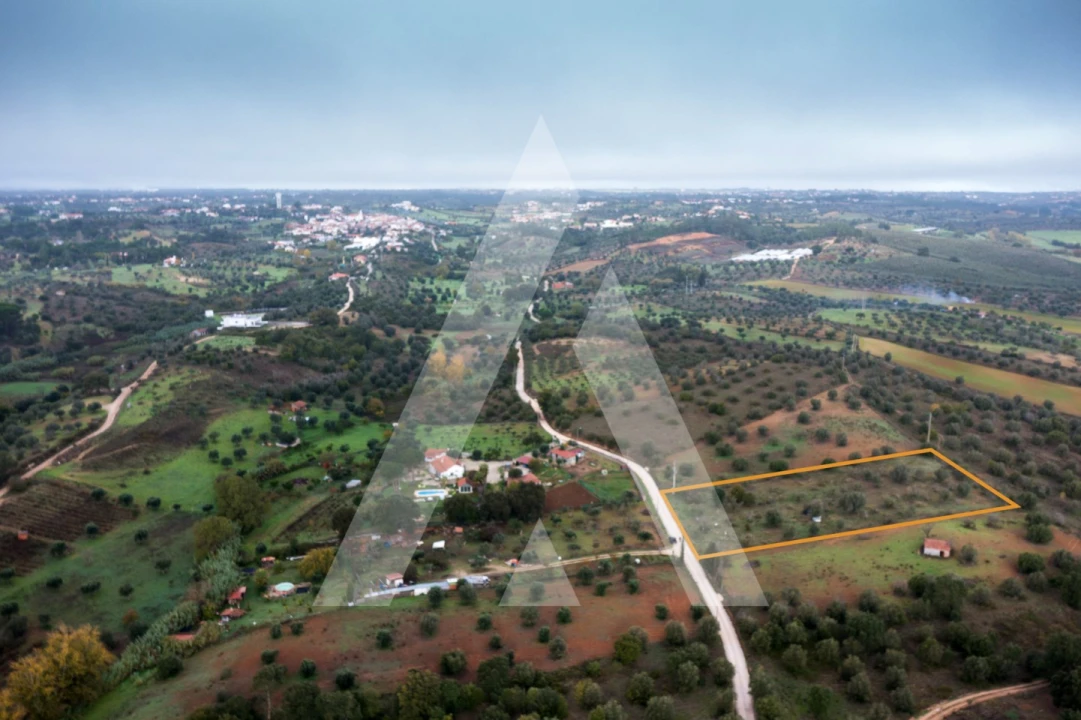 Terreno para Venda em Brogueira, Parceiros de Igreja e Alcorochel Foto 6