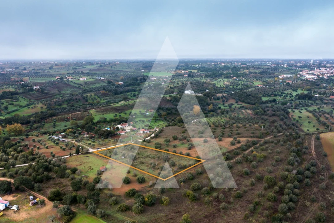 Terreno para Venda em Brogueira, Parceiros de Igreja e Alcorochel Foto 9