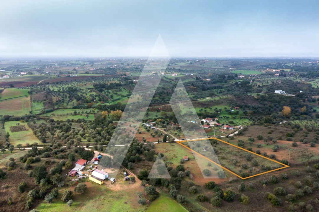 Terreno para Venda em Brogueira, Parceiros de Igreja e Alcorochel Foto 10