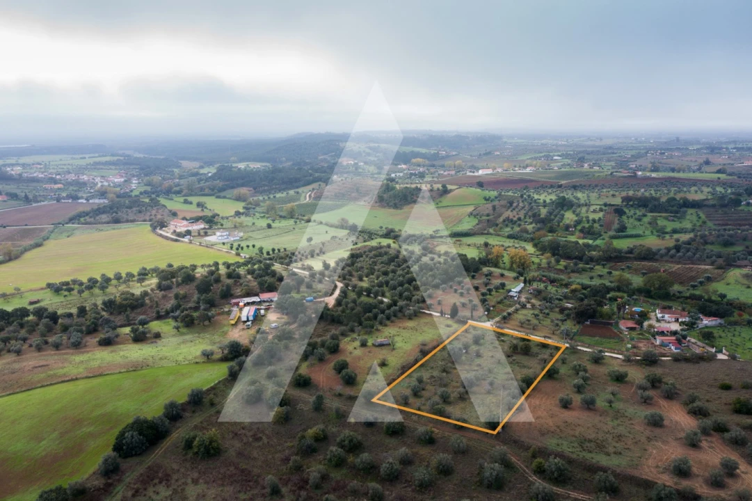 Terreno para Venda em Brogueira, Parceiros de Igreja e Alcorochel Foto 11