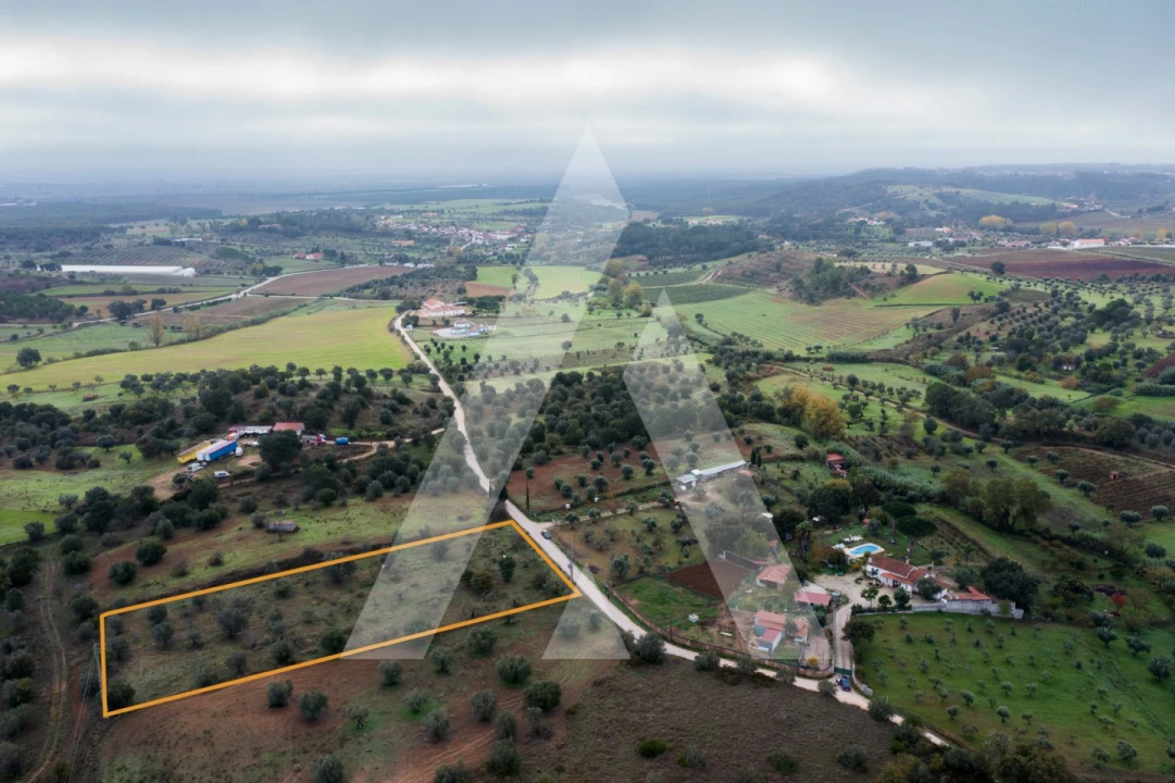 Terreno para Venda em Brogueira, Parceiros de Igreja e Alcorochel Foto 14