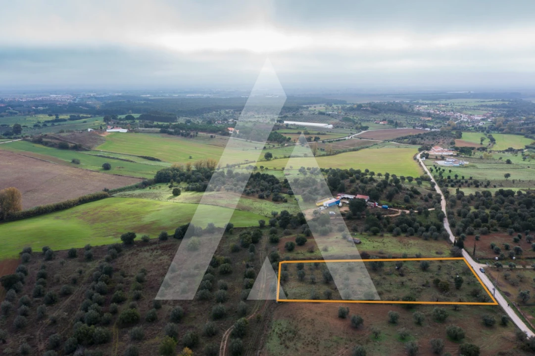Terreno para Venda em Brogueira, Parceiros de Igreja e Alcorochel Foto 15