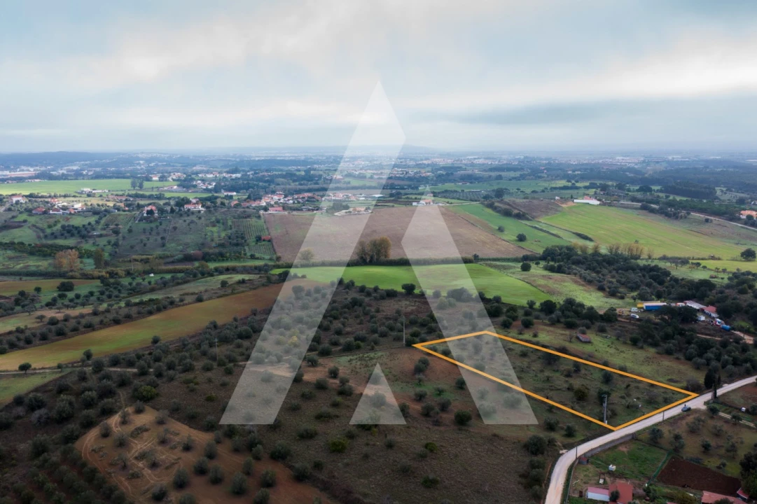 Terreno para Venda em Brogueira, Parceiros de Igreja e Alcorochel Foto 17