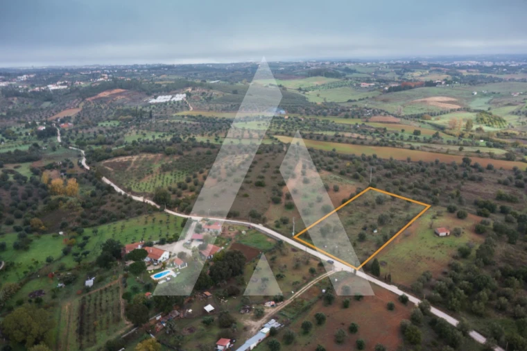 Terreno para Venda em Brogueira, Parceiros de Igreja e Alcorochel