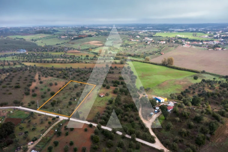 Terreno para Venda em Brogueira, Parceiros de Igreja e Alcorochel Foto 2