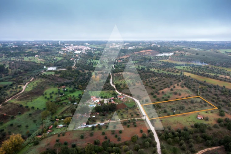 Terreno para Venda em Brogueira, Parceiros de Igreja e Alcorochel Foto 6