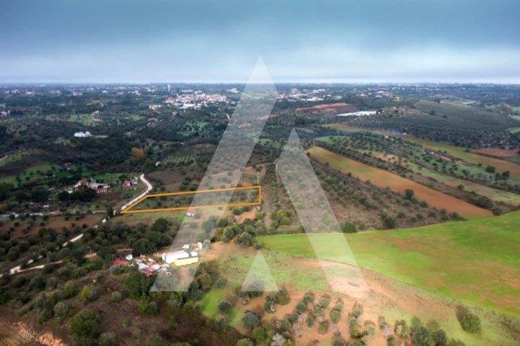 Terreno para Venda em Brogueira, Parceiros de Igreja e Alcorochel Foto 7