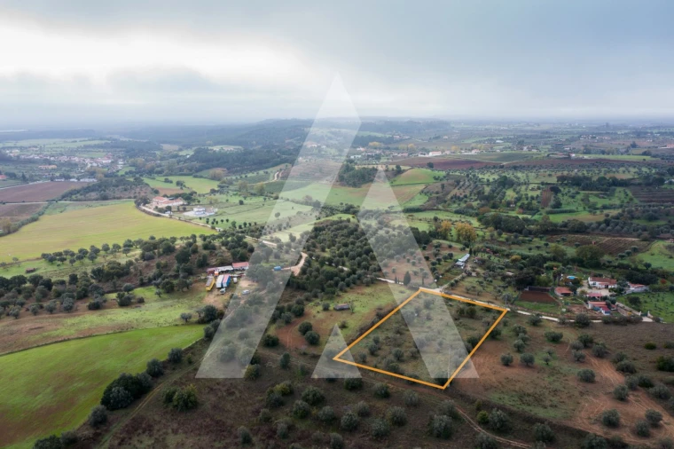Terreno para Venda em Brogueira, Parceiros de Igreja e Alcorochel Foto 11